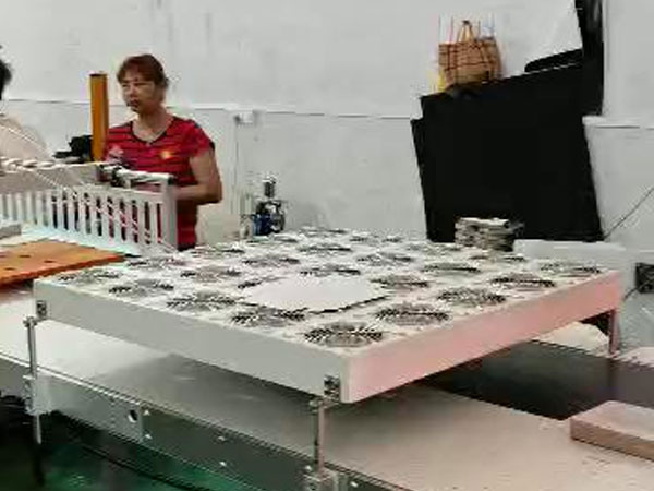 习言道｜理想信念树正了，青年才能立得正、行得稳